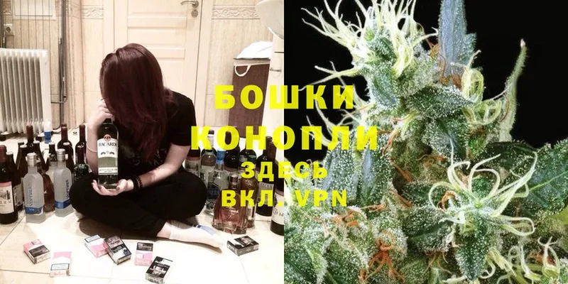 где продают   Мытищи  Шишки марихуана Bruce Banner 